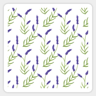 Lavender field Sticker